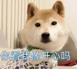  表情包丨不斗图不快乐
