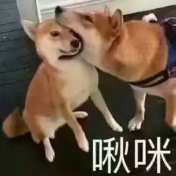  荒野行动新地图涌现各种沙雕广告牌,游戏原来还能这样玩