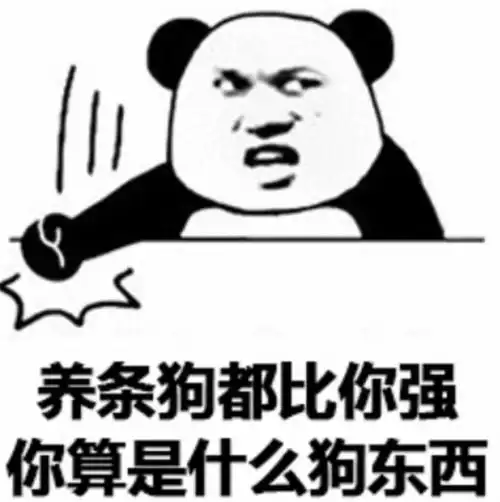  表情包沙雕表情的664期