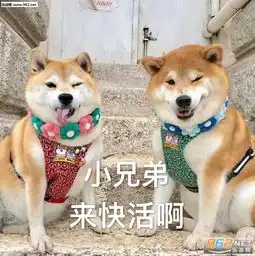  不学了去嗨皮表情包图片我不开心会死掉的表情包下载乐游网游戏下载