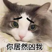 委屈猫猫头表情包