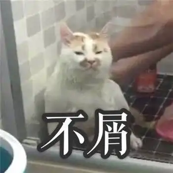  想念在喵星的楼楼小天使网红猫楼楼表情包