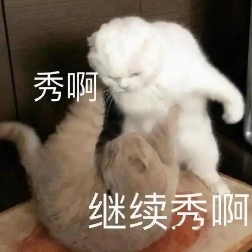  沙雕搞笑表情包i我不李姐