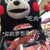  熊本熊搞笑聊天qq表情大全