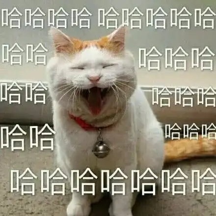 光遇好玩吗表情包搞笑