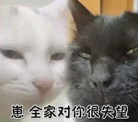  全新猫咪斗图表情包来啦