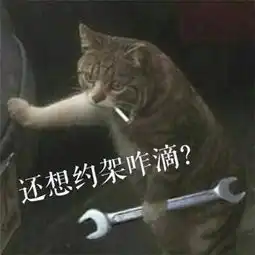  喵界江湖,谁主沉浮即将上演,胆小慎入