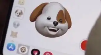  iphonex表情狗在哪里iphonex表情狗聊天视频分享