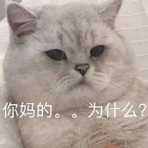  有没有那种沙雕又可爱适合发朋友圈的句子