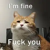 狗和猫的表情包表情包