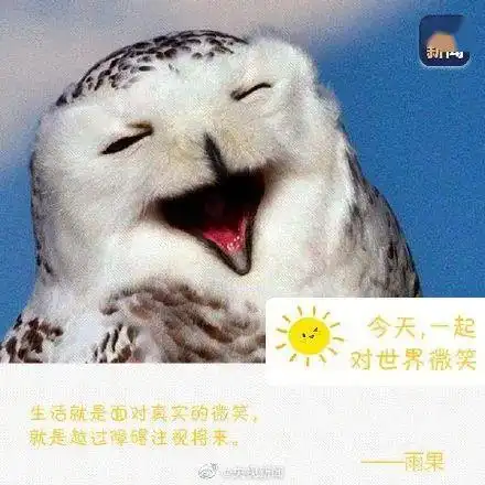  世界微笑日嘴角上扬,传递美好今天,你微笑了吗
