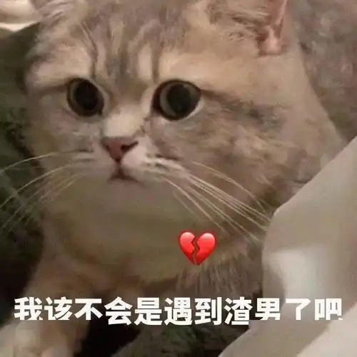  聊天斗图表情包
