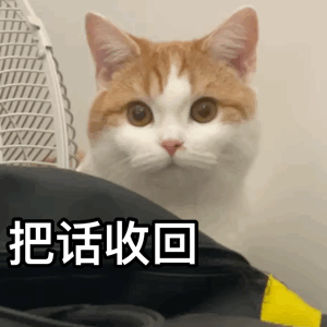  表情包动图