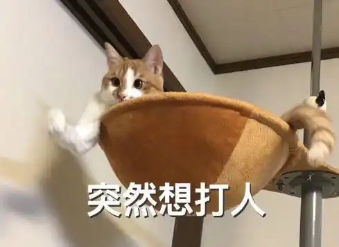  网友家的猫突然做出这个举动,感觉下一秒就要打人
