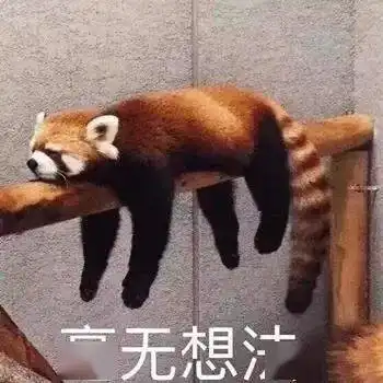  上大学就轻松了,是吗