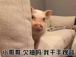  撩小哥哥表情包小哥哥网恋吗我萝莉音