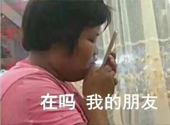 小傻瓜表情包两只
