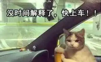  女票打死不让买这些suv,就怕我出轨