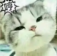 小猫唱歌表情包