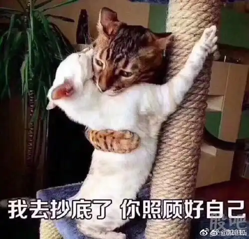  散户怎样把握股票买卖点刚入市的朋友值得收藏