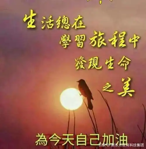  反emo,我妈第一,无人第二